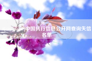 兴化中国执行信息公开网查询失信名单