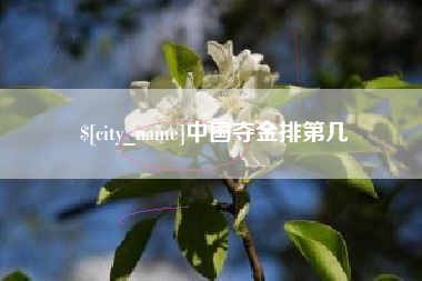兴化中国夺金排第几