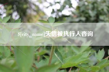 兴化失信被执行人杳询