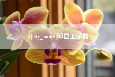 兴化邱县王子磊