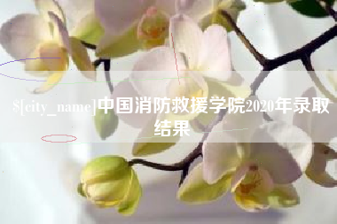 兴化中国消防救援学院2020年录取结果