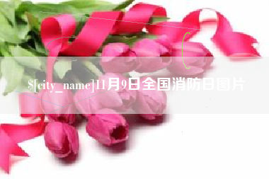 兴化11月9日全国消防日图片