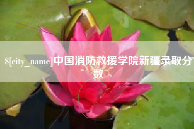 兴化中国消防救援学院新疆录取分数