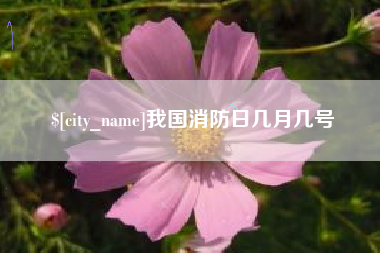 兴化我国消防日几月几号