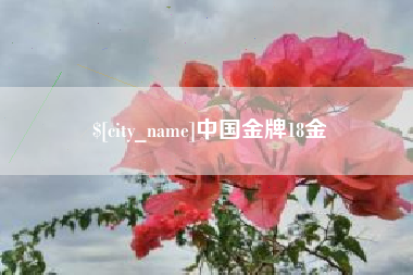 兴化中国金牌18金