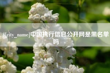 兴化中国执行信息公开网是黑名单吗