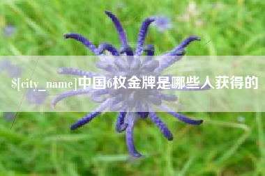 兴化中国6枚金牌是哪些人获得的