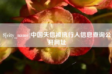兴化中国失信被执行人信息查询公开网址