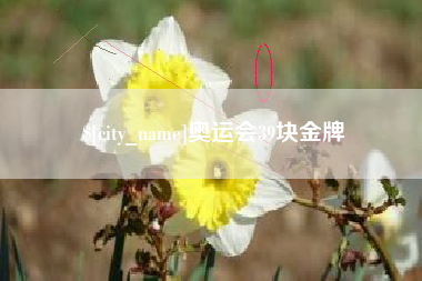 兴化奥运会39块金牌