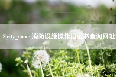 兴化消防设施操作员证书查询网址