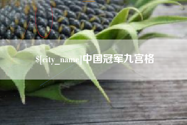 兴化中国冠军九宫格