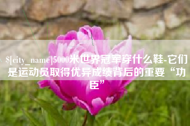 兴化5000米世界冠军穿什么鞋-它们是运动员取得优异成绩背后的重要“功臣”