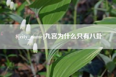 兴化九宫为什么只有八卦