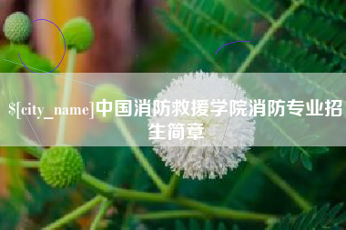 兴化中国消防救援学院消防专业招生简章