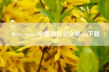 兴化中国消防公众号app下载