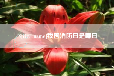 兴化我国消防日是哪日