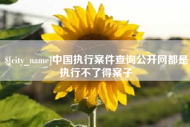 兴化中国执行案件查询公开网都是执行不了得案子
