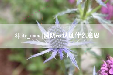 兴化消防ccc认证什么意思
