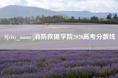 兴化消防救援学院2020高考分数线
