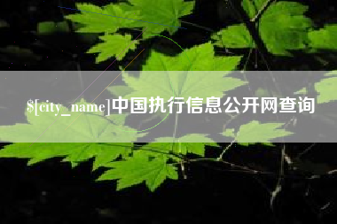 兴化中国执行信息公开网查询