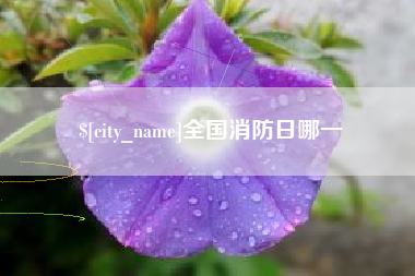 兴化全国消防日哪一