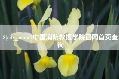 兴化中国消防救援学院官网首页查询