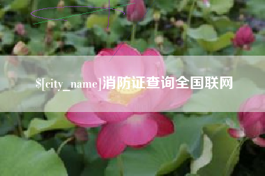 兴化消防证查询全国联网