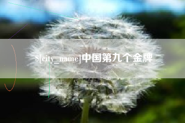 兴化中国第九个金牌