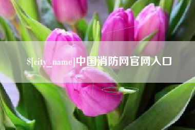 兴化中国消防网官网入口