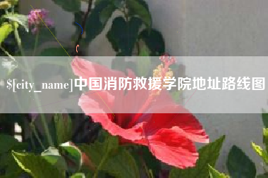 兴化中国消防救援学院地址路线图