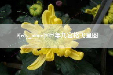 兴化2022年九宫格飞星图