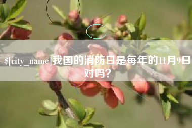兴化我国的消防日是每年的11月9日对吗？