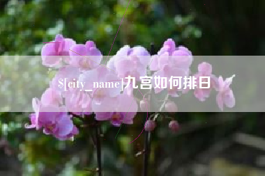 兴化九宫如何排日