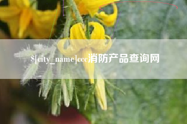 兴化ccc消防产品查询网