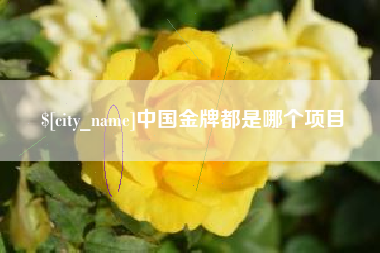 兴化中国金牌都是哪个项目