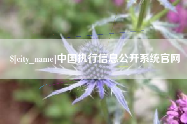 兴化中国执行信息公开系统官网