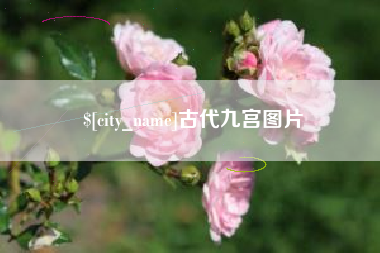 兴化古代九宫图片