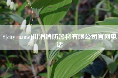 兴化川消消防器材有限公司官网电话