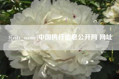 兴化中国执行信息公开网 网址