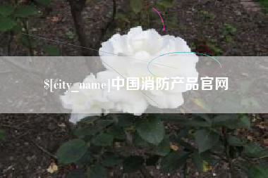 兴化中国消防产品官网