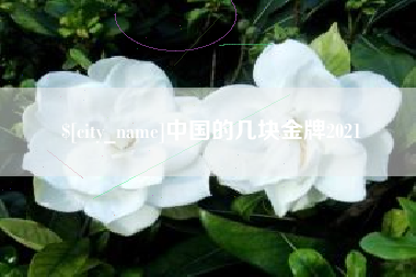 兴化中国的几块金牌2021