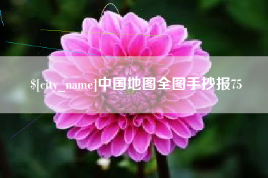 兴化中国地图全图手抄报75