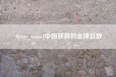 兴化中国获得的金牌总数