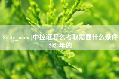兴化中控证怎么考取需要什么条件2024年的