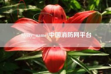 兴化中国消防网平台