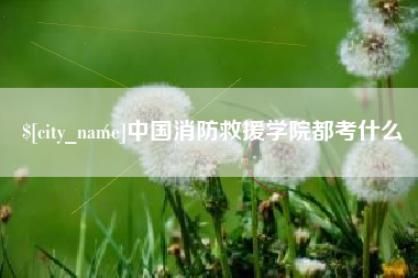 兴化中国消防救援学院都考什么