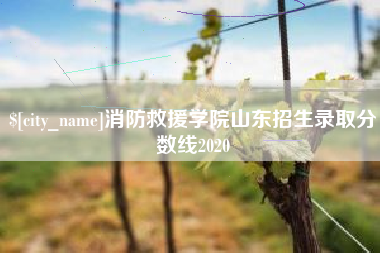 兴化消防救援学院山东招生录取分数线2020