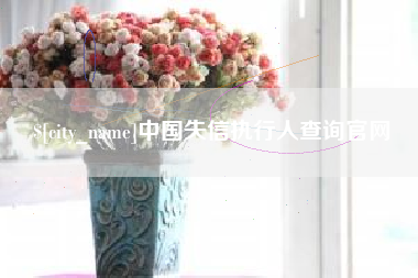 兴化中国失信执行人查询官网