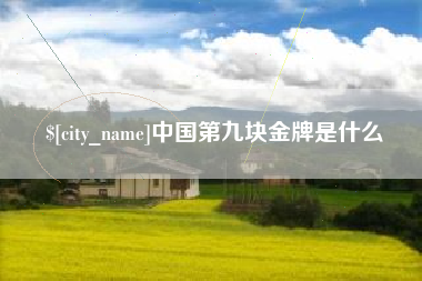 兴化中国第九块金牌是什么