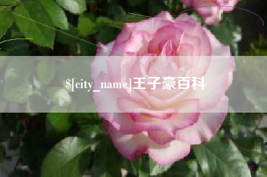兴化王子豪百科